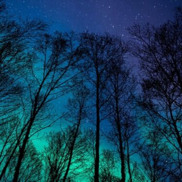 「フラワーオブライフシリウスアルケミーセミナー」2025年のスケジュール